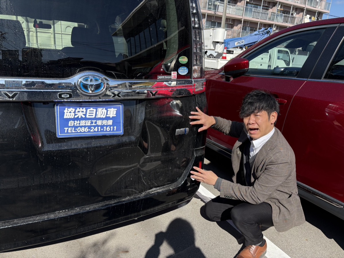自動車保険